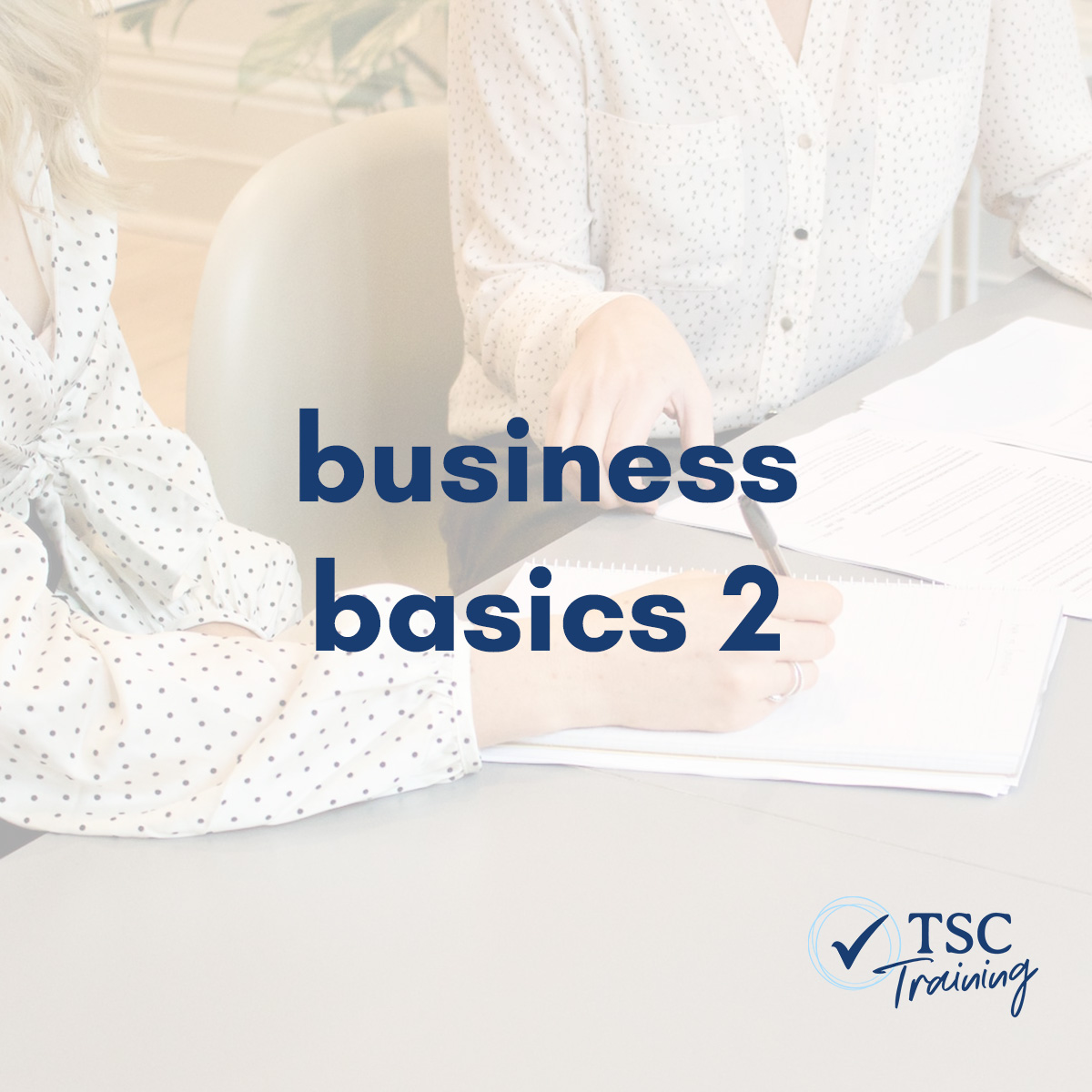 Business Basics 2 - TSC Group Online Training Course | Workplace